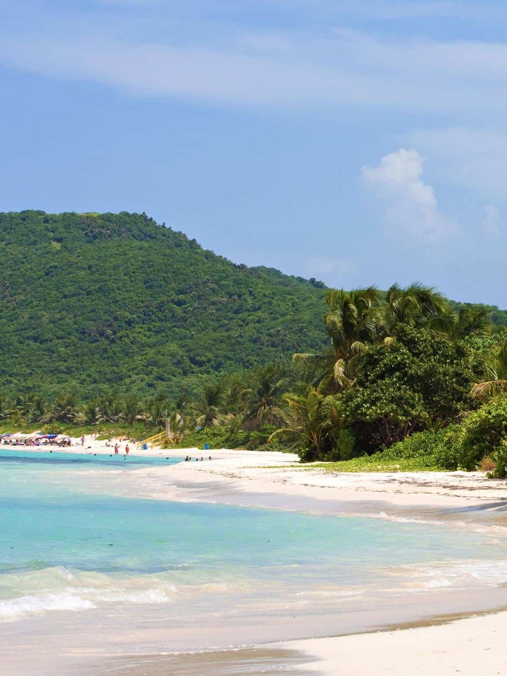 Pristine beach with turquoise waters, lush green tropical trees, and scenic mountain view, ideal for travel and relaxation.