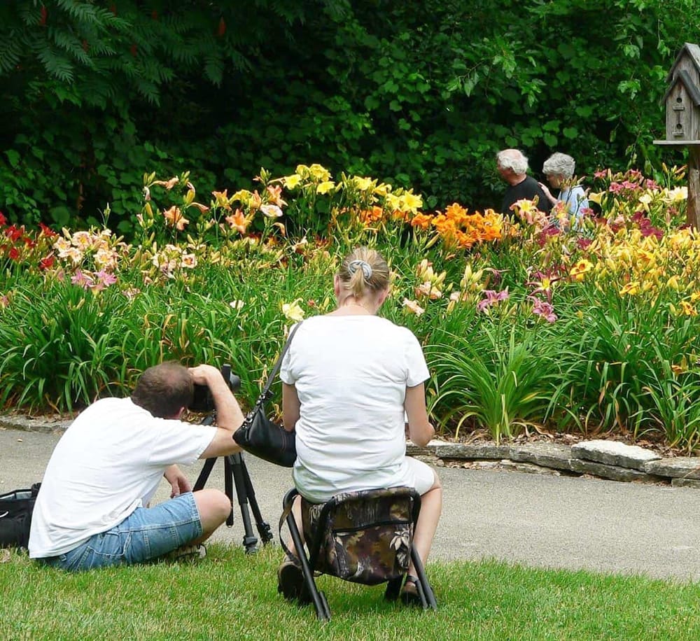 Colorful daylilies in vibrant bloom at a botanical garden with visitors photographing and enjoying nature scenic views.