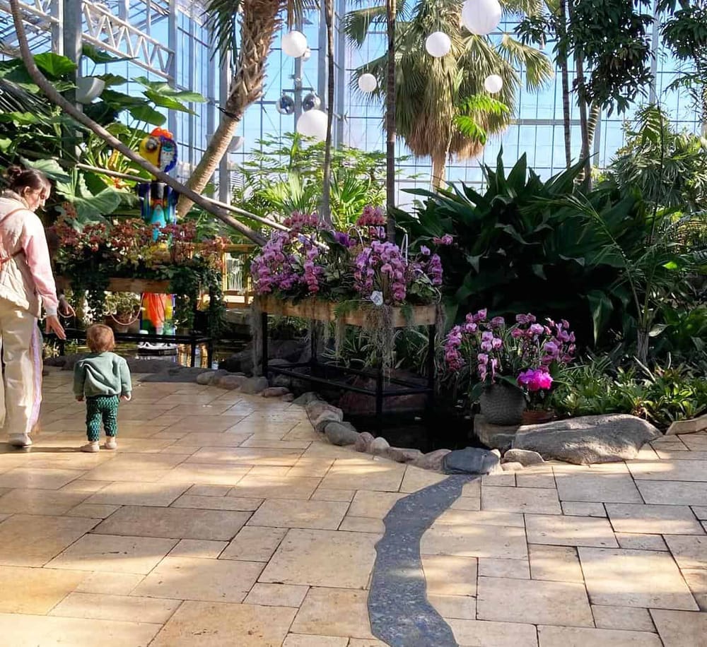 Vibrant indoor botanical garden with lush plants and orchids, offering a peaceful escape for visitors.