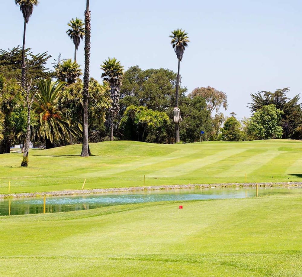 Lush golf course with palm trees, water hazards, and scenic greenery in a tropical setting.