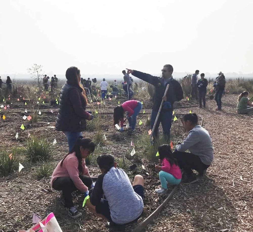 Volunteers planting trees for environmental conservation in an open field.