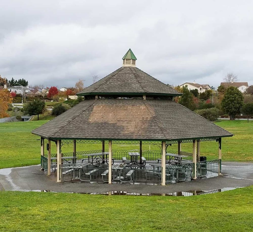 Outdoor park gazebo with picnic tables, surrounded by lush green grass and vibrant autumn trees.