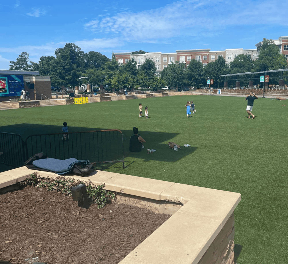 Playground and park with children playing soccer in Sutton Park, Birmingham, Alabama. Ideal for family activities and outdoor recreation.