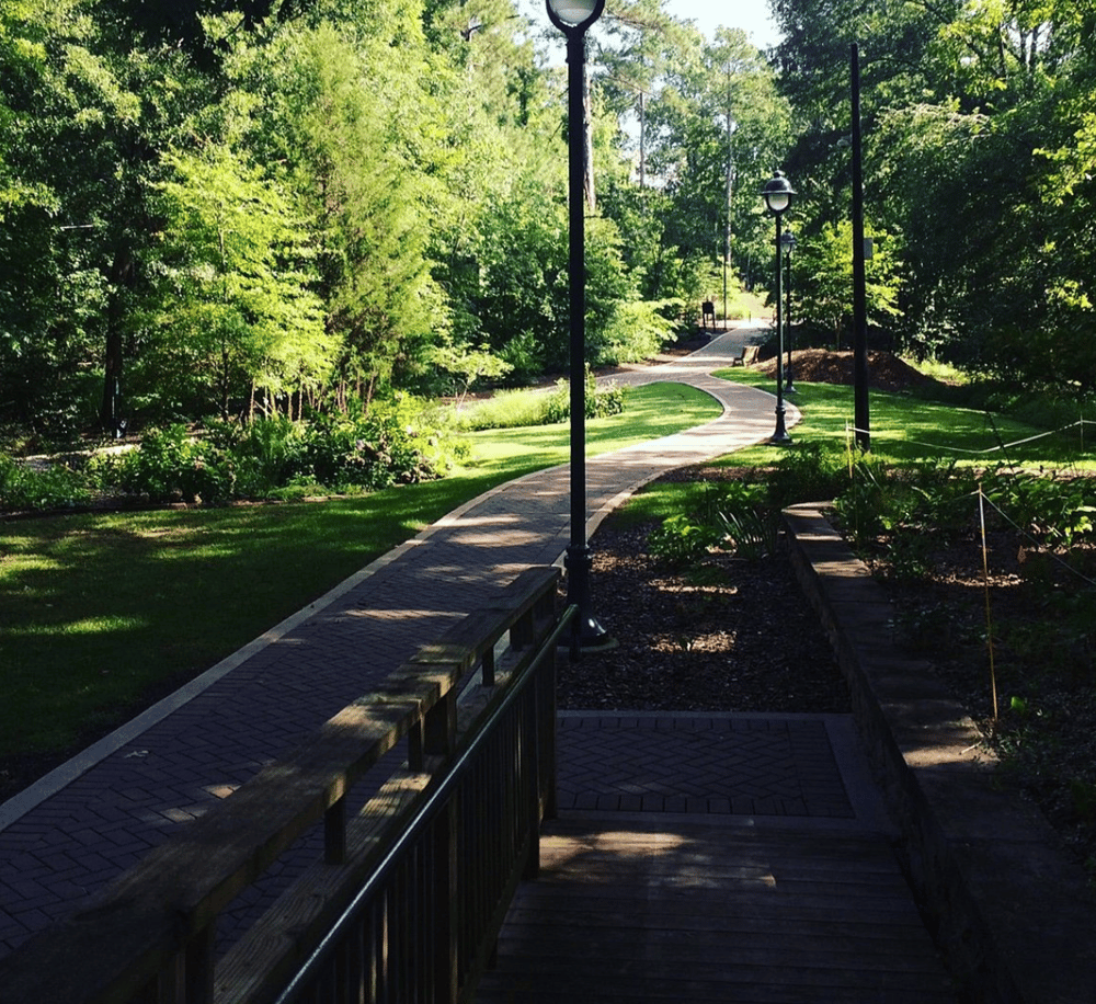 Serene park path surrounded by lush greenery and lamp posts, perfect for outdoor walking and relaxation.