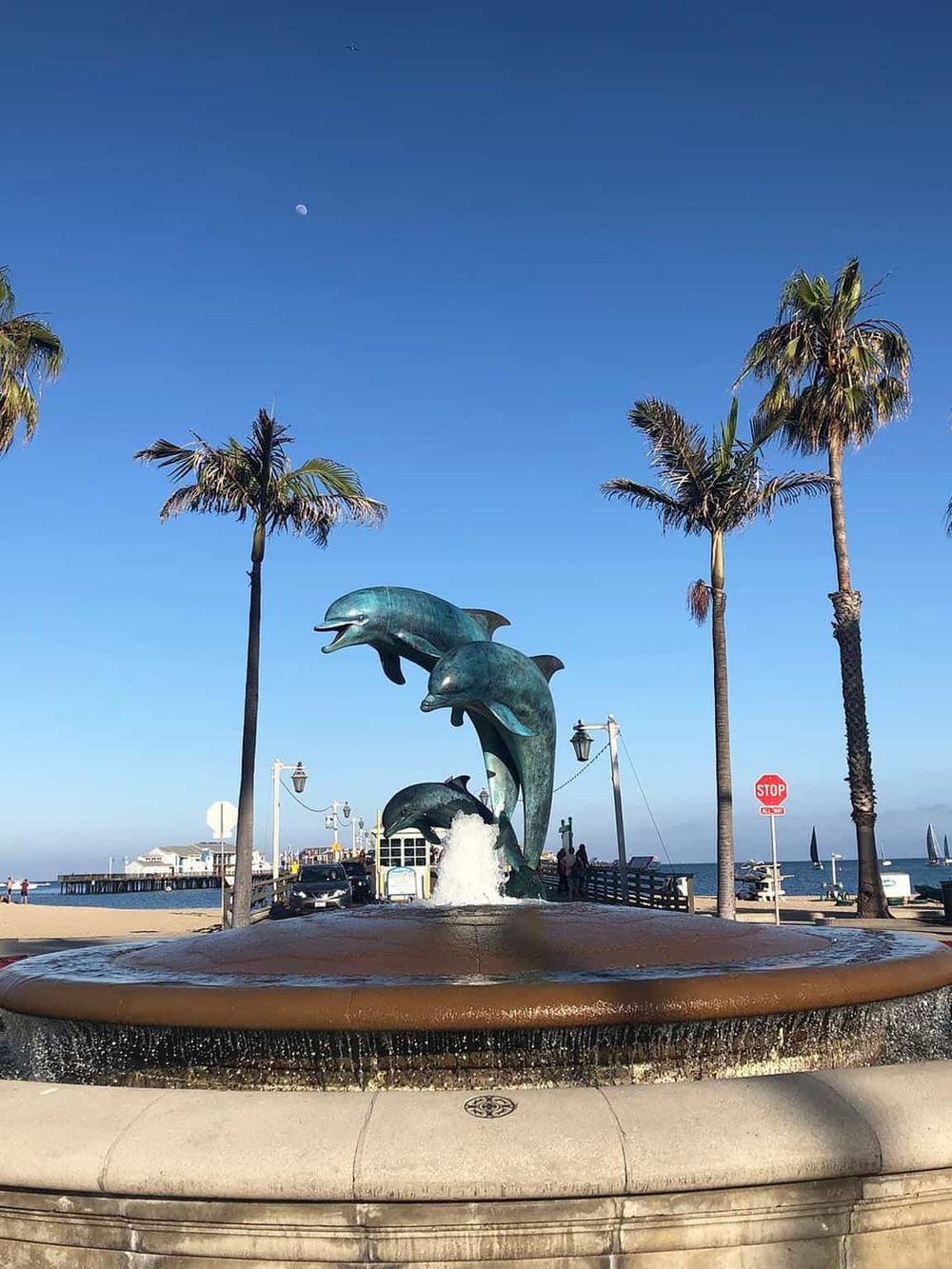 Dolphin fountain at the beach with palm trees and ocean in the background, perfect for coastal passion and guiding directions.