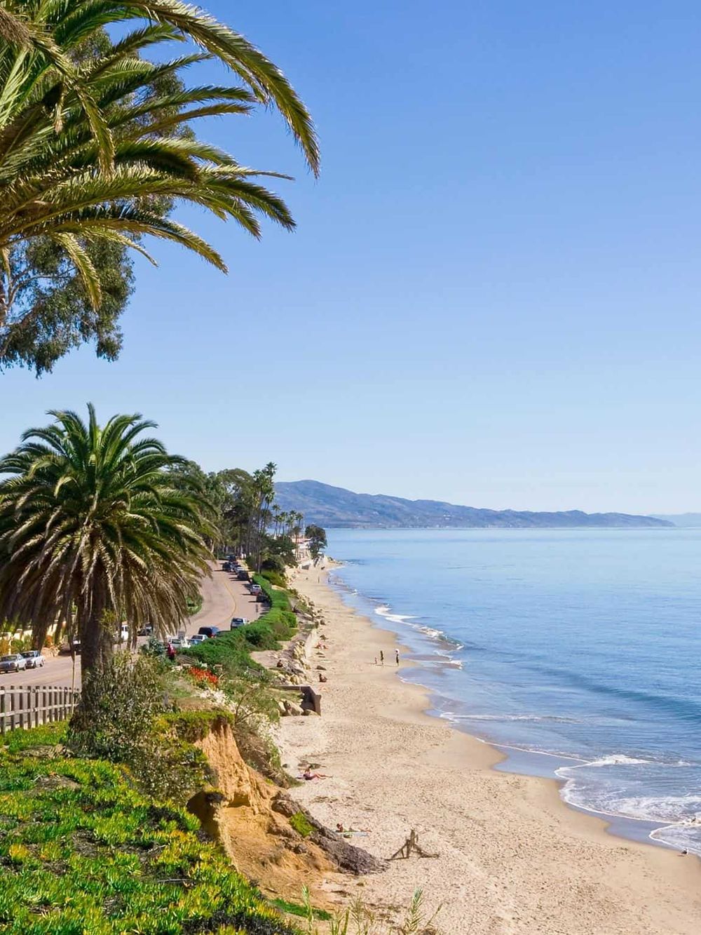 Palm trees on a coastal road overlooking a sandy beach and calm ocean waves.
