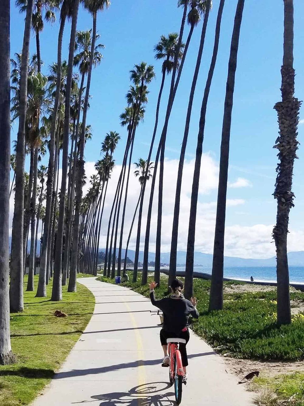 Palm trees along seaside bike path in California, scenic coastal journey for outdoor enthusiasts.
