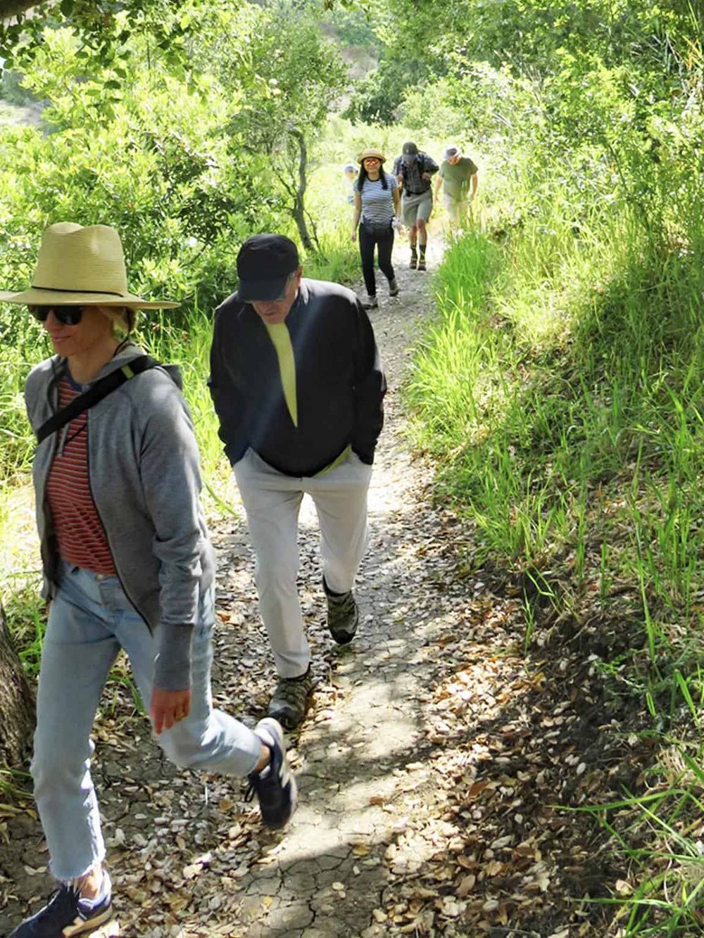Scenic hiking trail with group of people enjoying nature and outdoor adventure.
