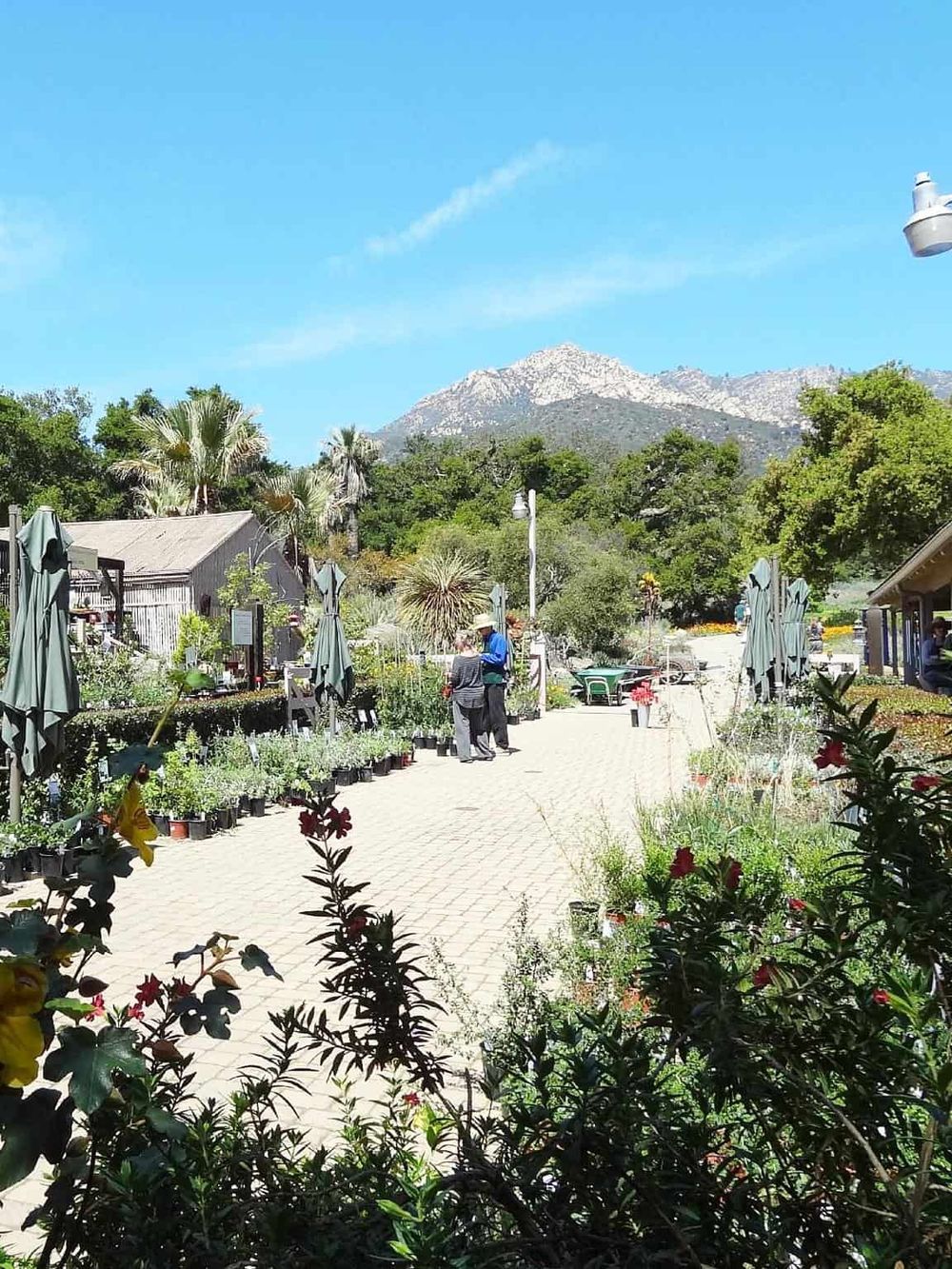 Vibrant outdoor garden with mountain view, plant nursery, and visitors enjoying nature.
