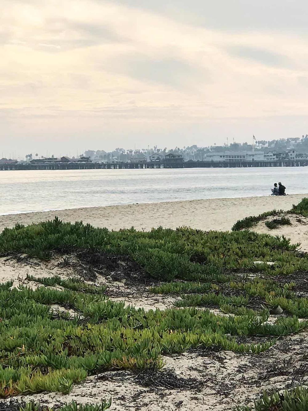 Serene beach view with greenery and people enjoying the coastline. Perfect coastal destination for relaxation and exploration.