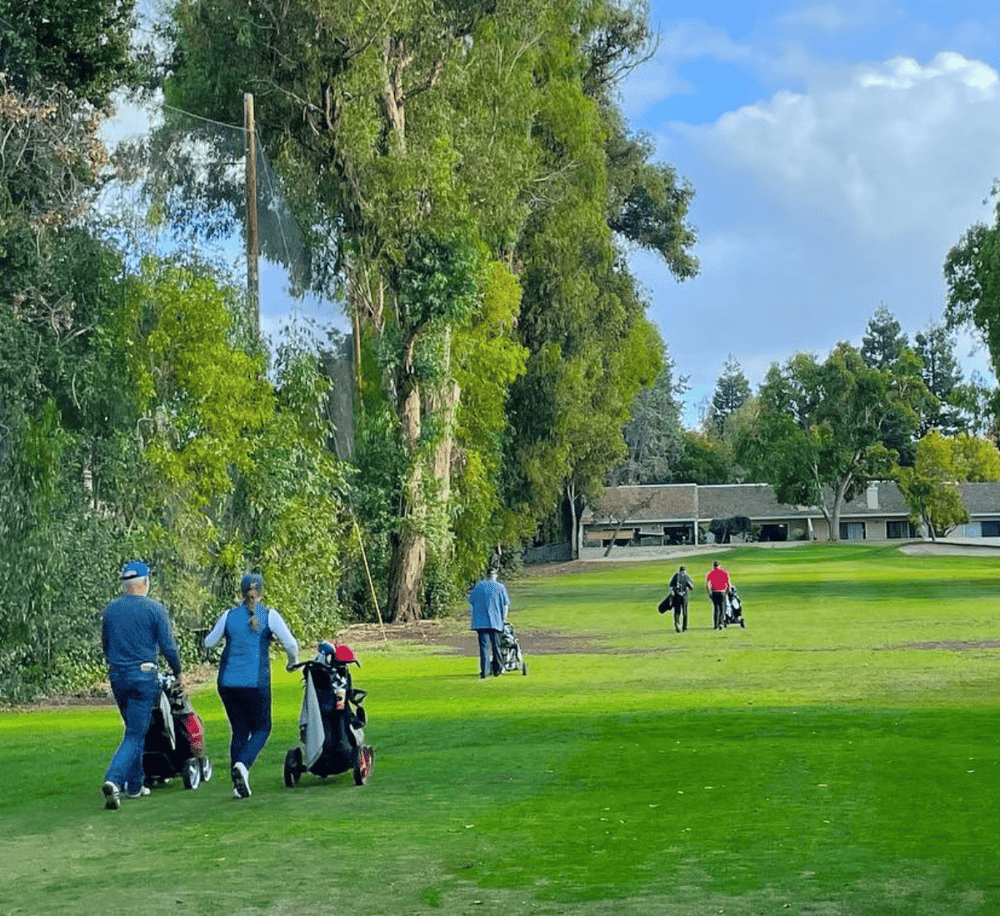 Golfers walking on a lush green golf course with trees and a clubhouse in the background, sunny day.