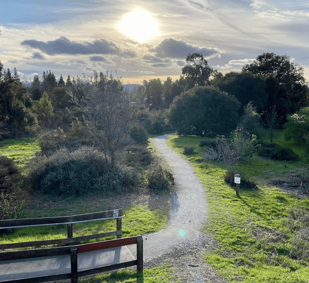 Peaceful nature trail with lush greenery and scenic landscape, ideal for outdoor exploration and adventure.