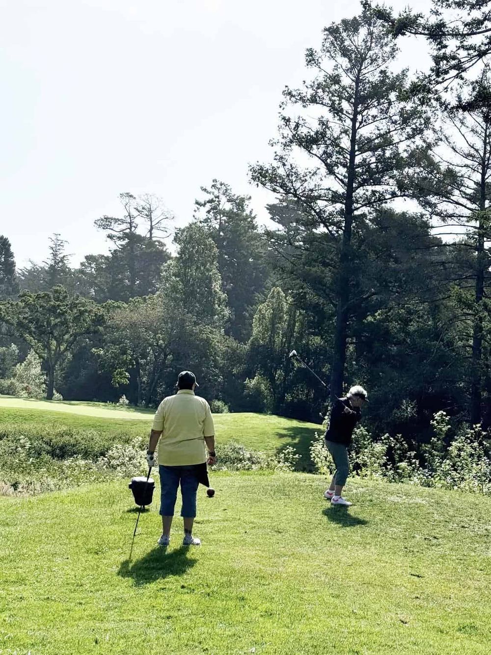 Relaxing golf course scene with two players and lush greenery, perfect for outdoor sports enthusiasts.