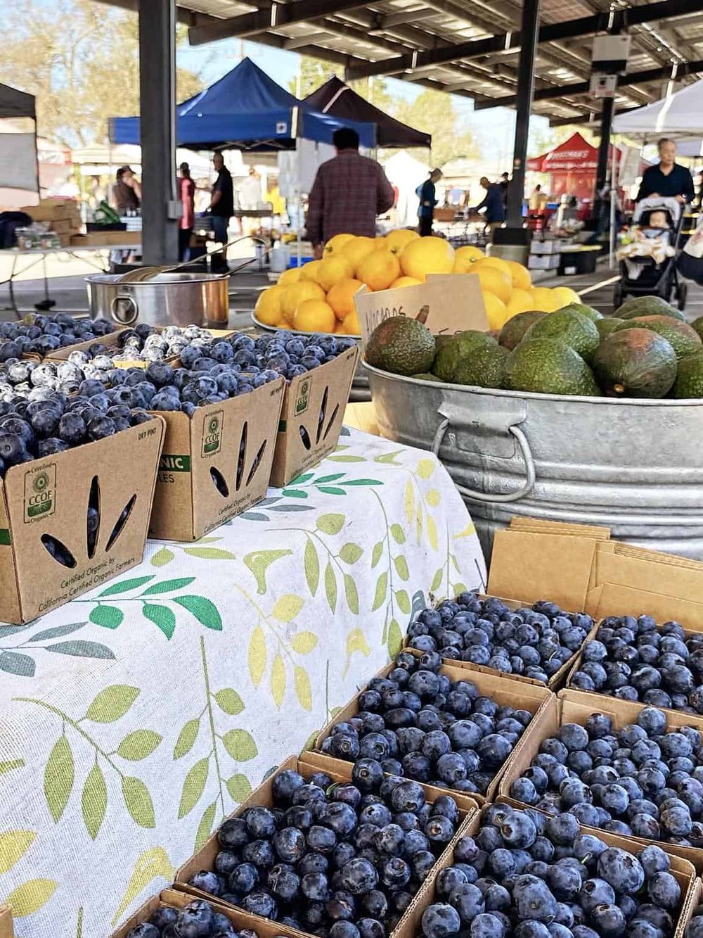 Fresh organic blueberries at a local farmers market.
