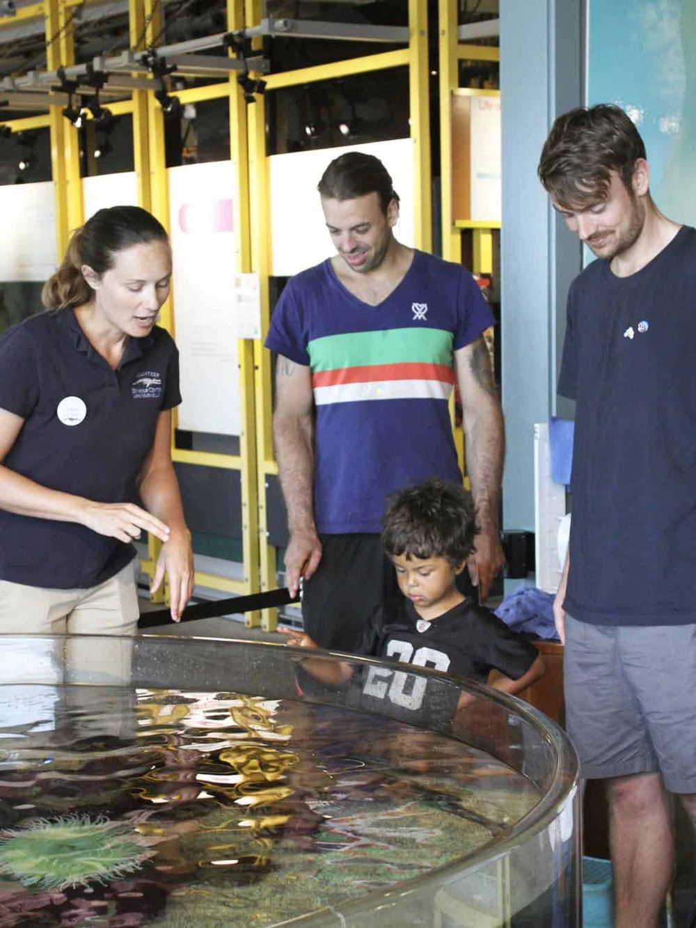 Colorful coral reef exhibit at QuestForDirections aquarium for family-friendly educational fun.
