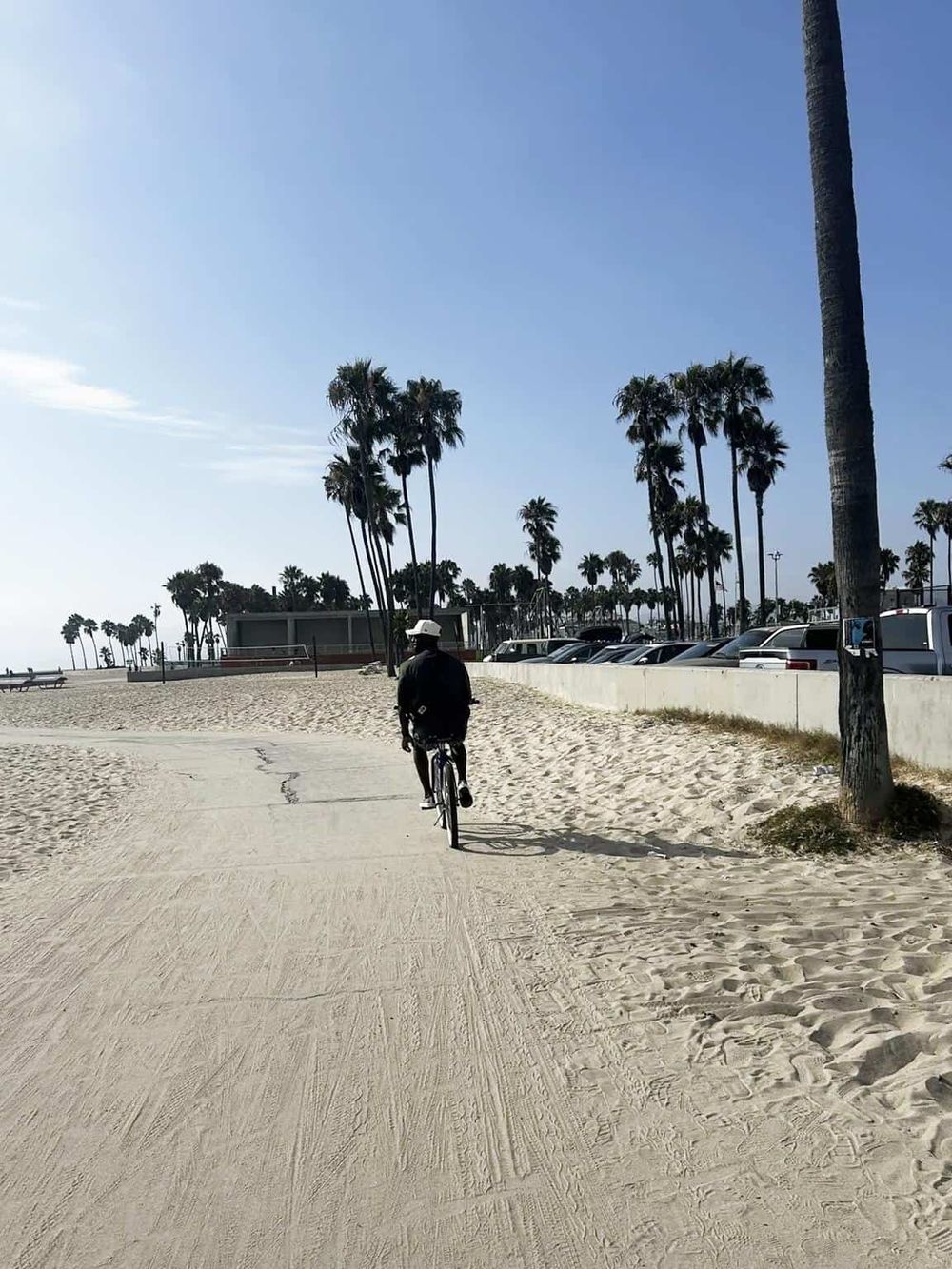 Biking along a sandy beach path with palm trees and ocean views, perfect for coastal adventures.