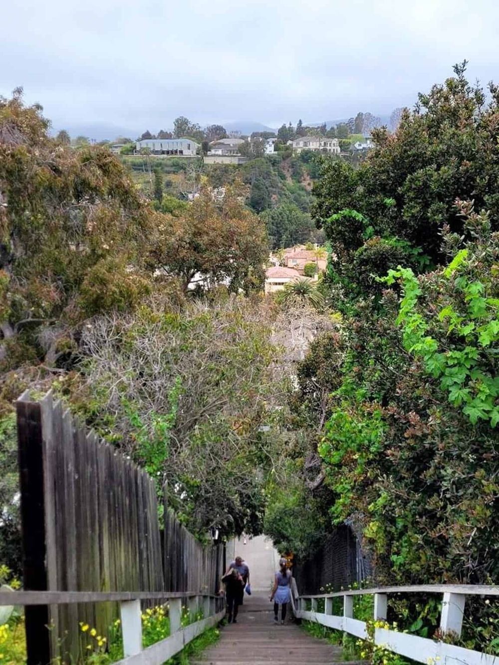 Lush hiking trail with scenic views of hillside homes and greenery, perfect for outdoor exploration.