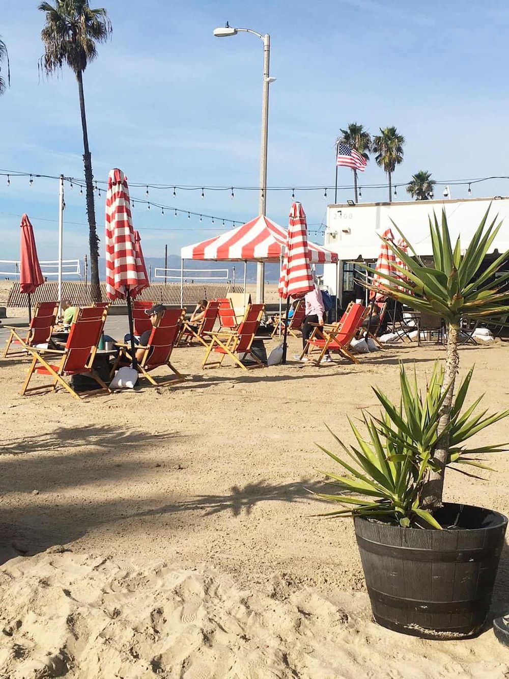 Relaxing beachside patio with red and white umbrellas, lounge chairs, palm trees, and ocean views for perfect coastal getaway.