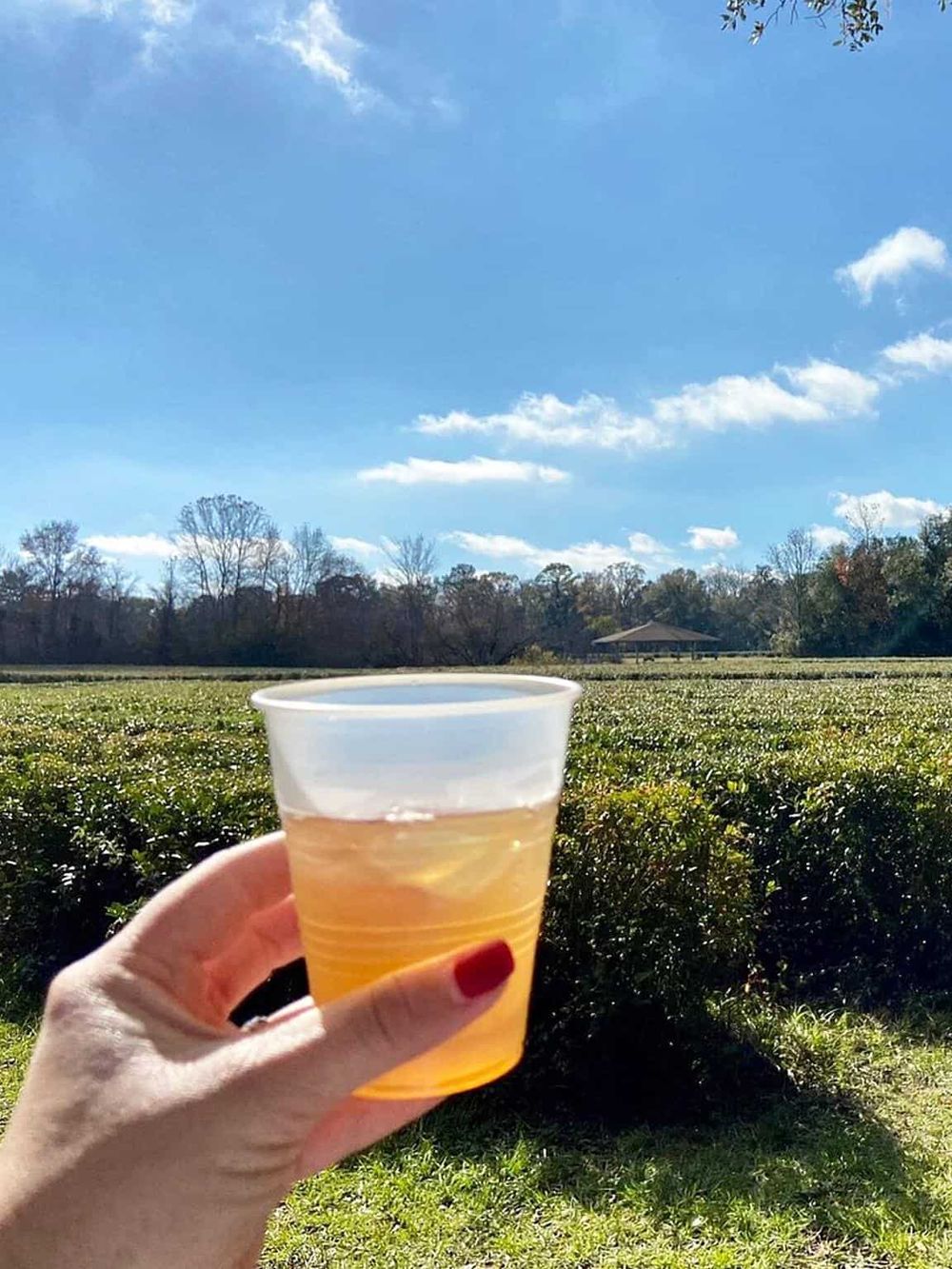 Refreshing outdoor scene with a clear cup of iced tea in hand against a vibrant natural landscape.