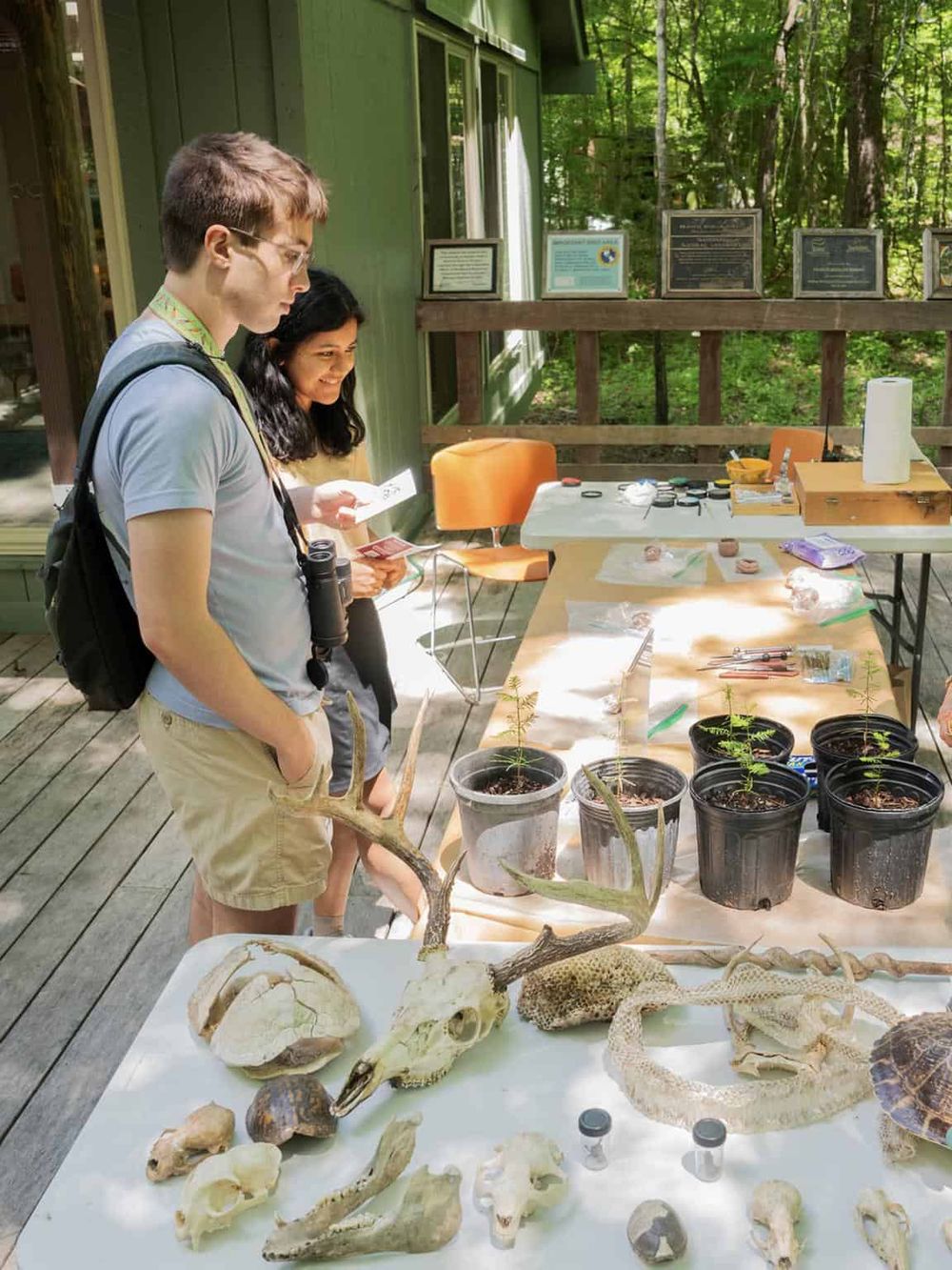 Wildlife education and conservation at Quest for Directions nature center.