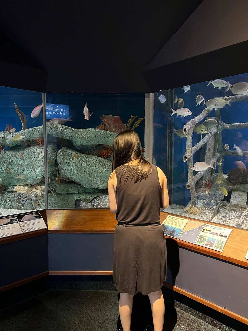 Vivid aquarium exhibit with tropical fish and coral, visitors exploring marine life at Quest for Directions.