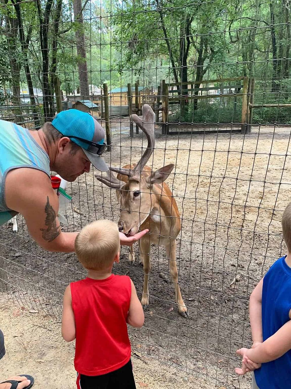 Close-up of a man and children feeding a deer with large antlers at a wildlife sanctuary.