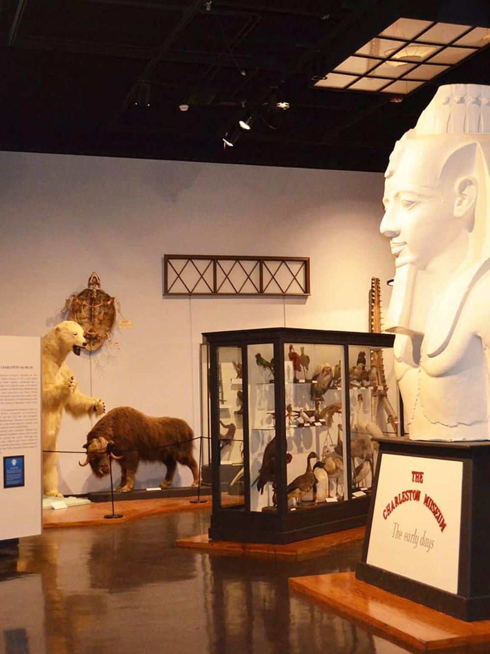Ancient Egyptian artifacts and exhibits at Charleston Museum, showcasing early history and cultural heritage.