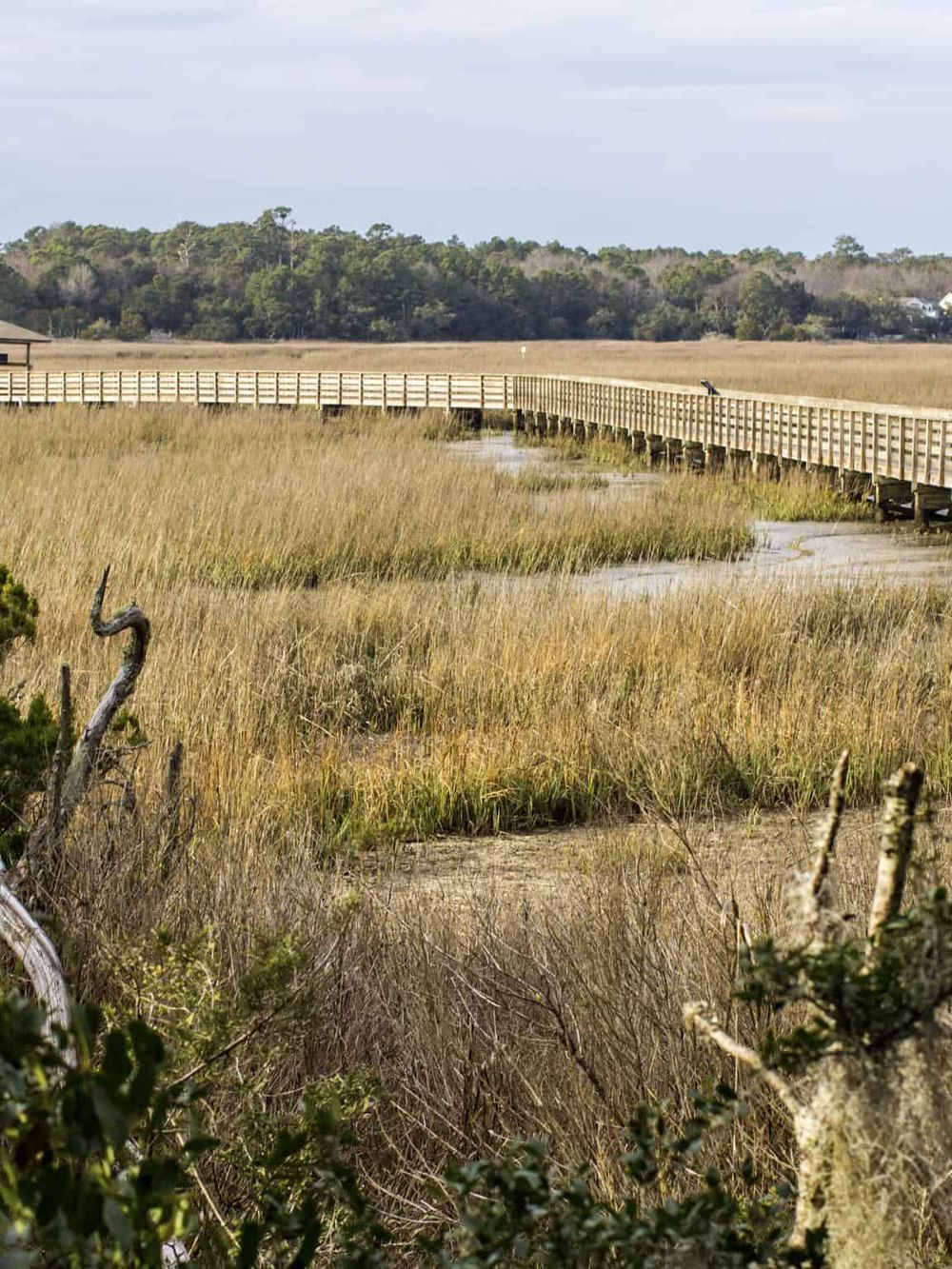Rustic boardwalk through marshland with grasses and wetlands, scenic nature trail for outdoor adventures.
