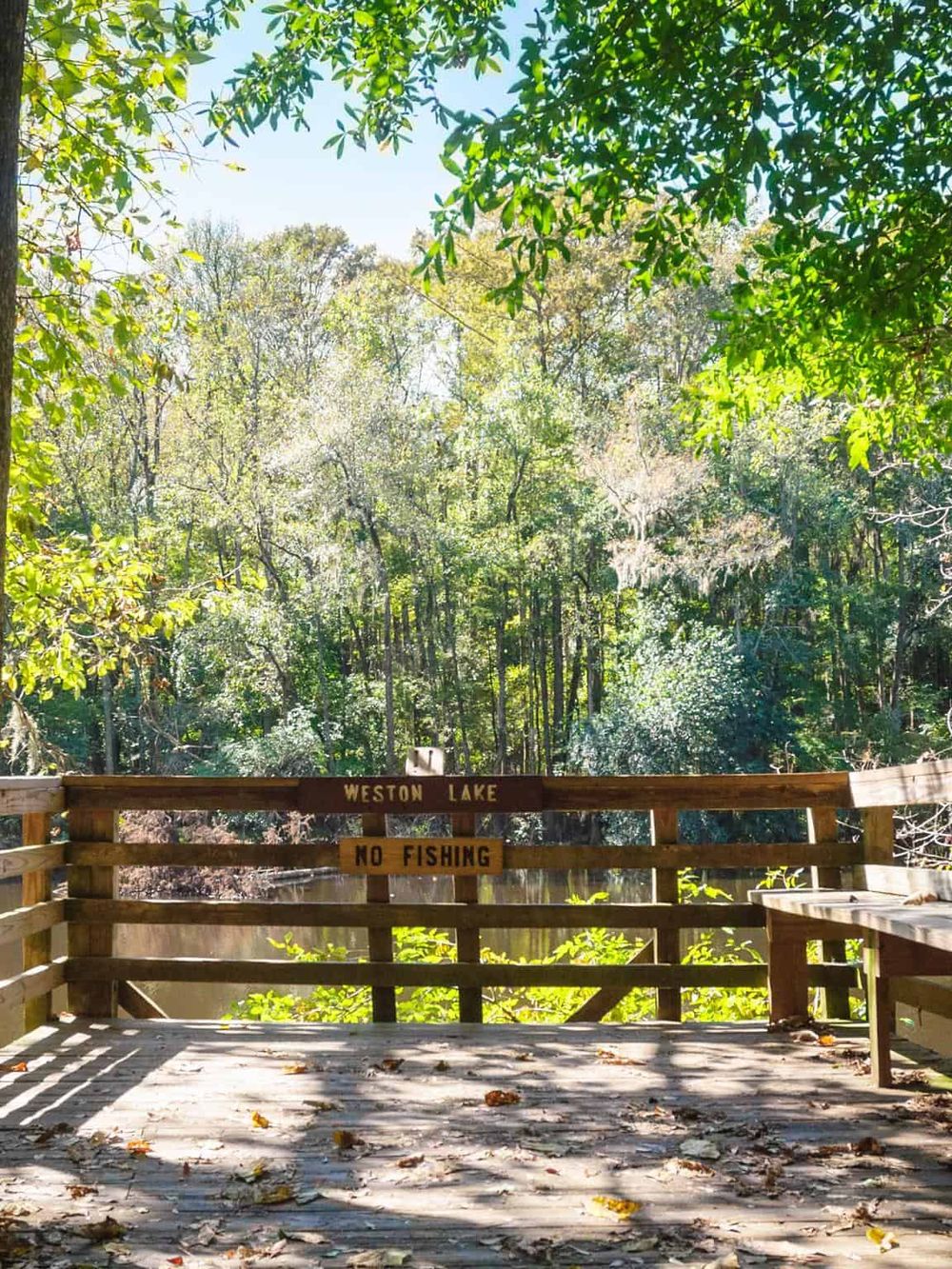 Tranquil Weston Lake with a wooden dock, surrounded by lush trees and clear skies, ideal for nature walks and relaxation.