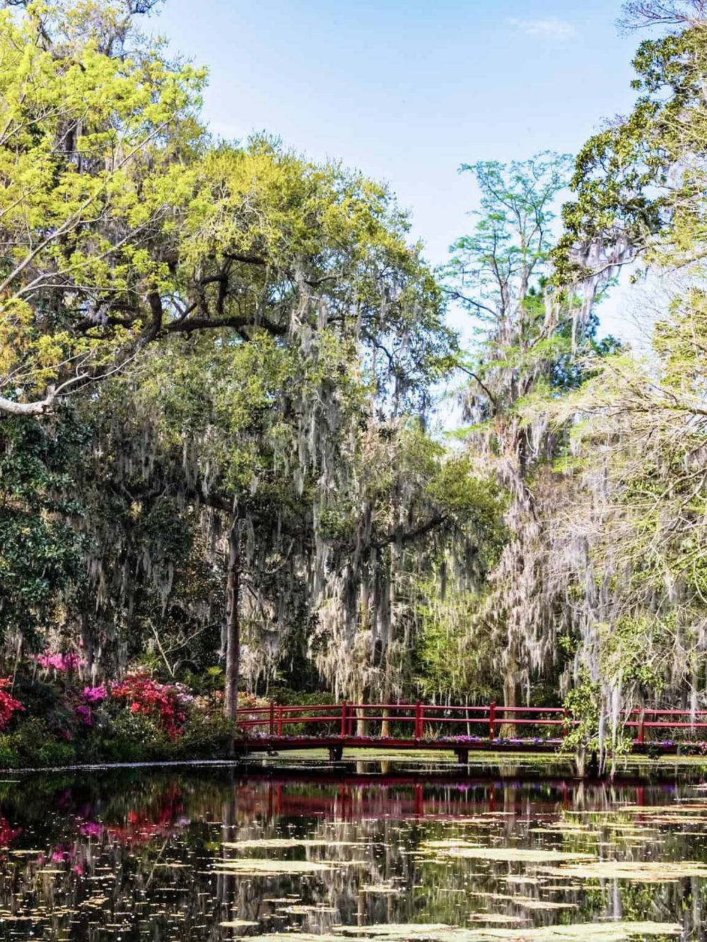 Tranquil nature scene with a red bridge over a pond, lush trees, and Spanish moss, ideal for outdoor adventure and nature exploration.