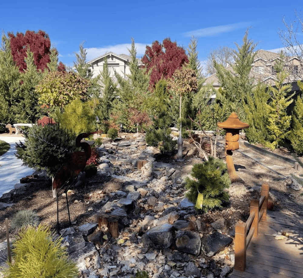 Lush Japanese garden with rocks, bonsai trees, and traditional lanterns, perfect for serene outdoor relaxation.