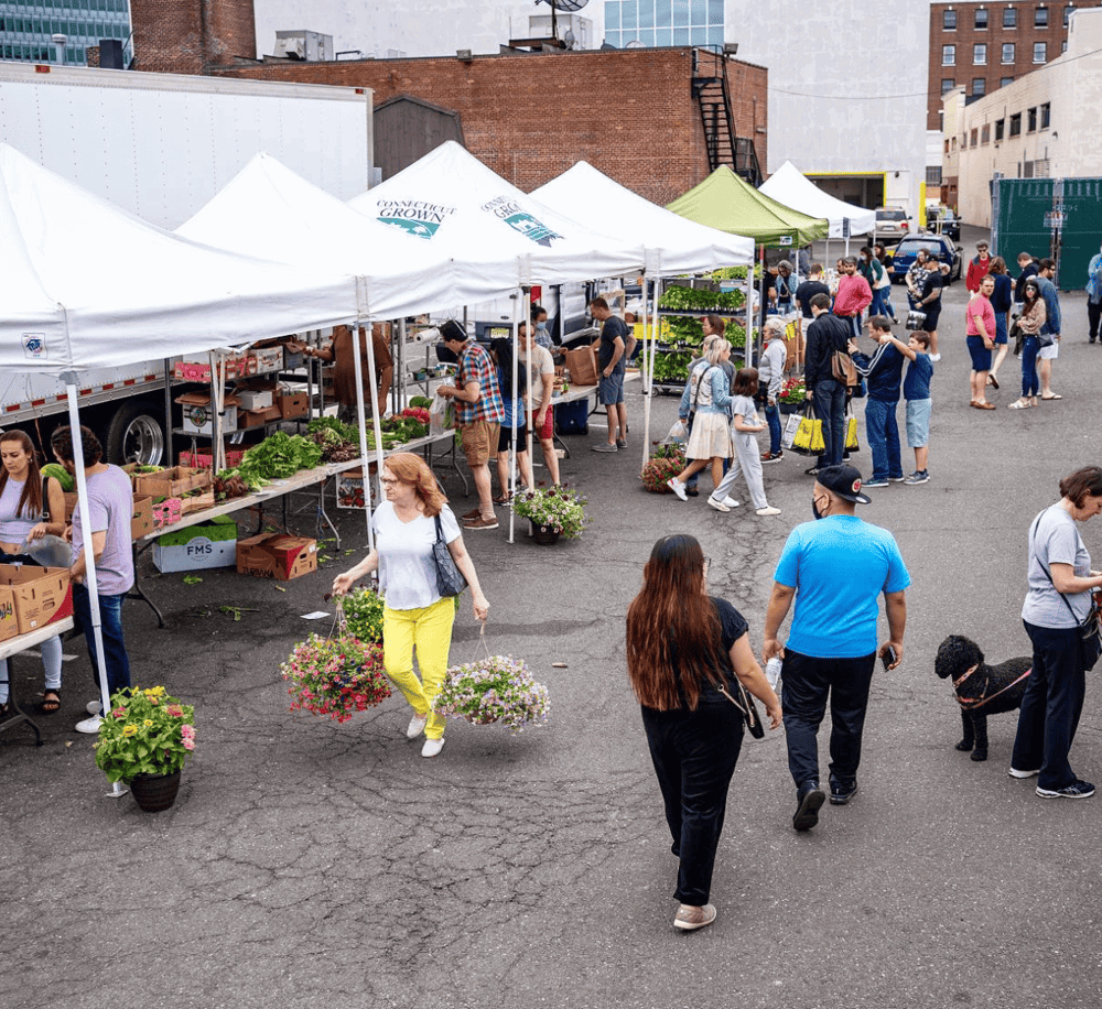 Fresh produce market at local outdoor farmers market, community event, selling vegetables, plants, flowers, and gardening supplies.