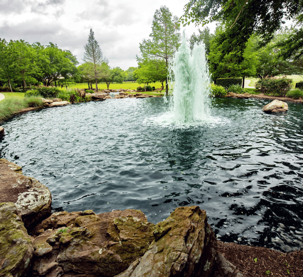 Tranquil park pond with fountain, lush trees, and walking paths, perfect for relaxation and outdoor activities.