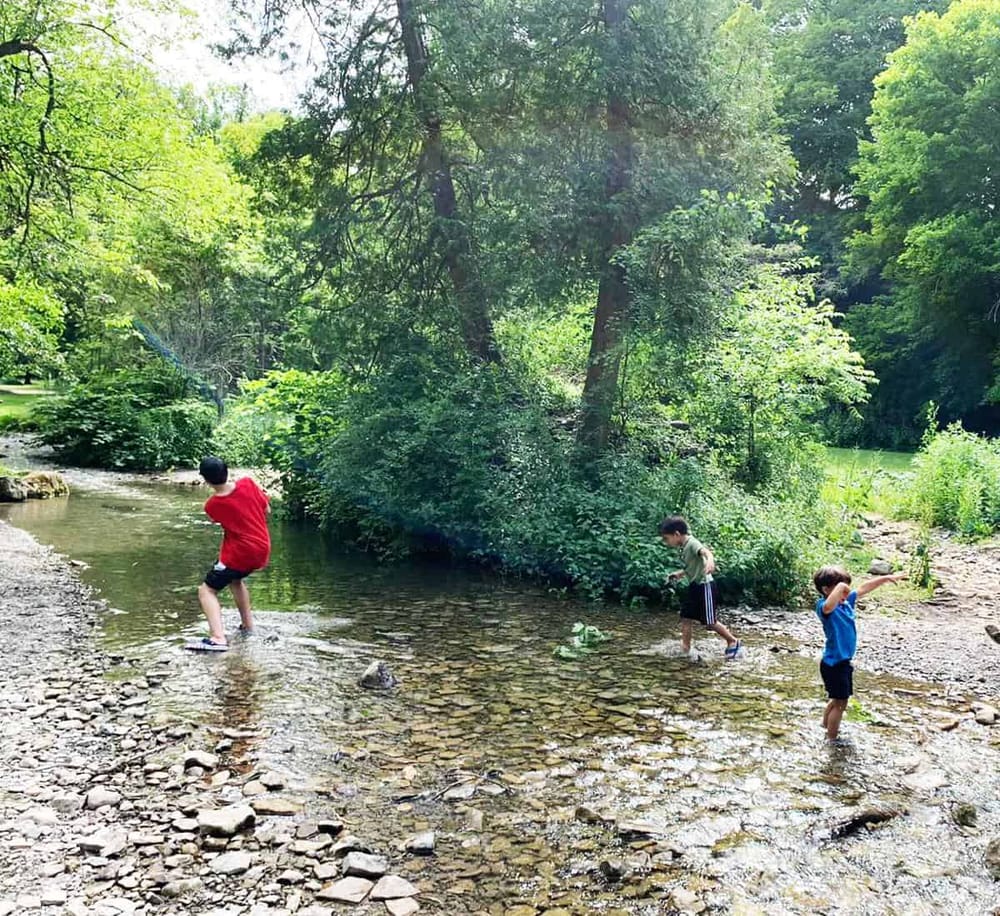 Children playing in a creek in lush forest nature setting, outdoor adventure, family activity, exploration.