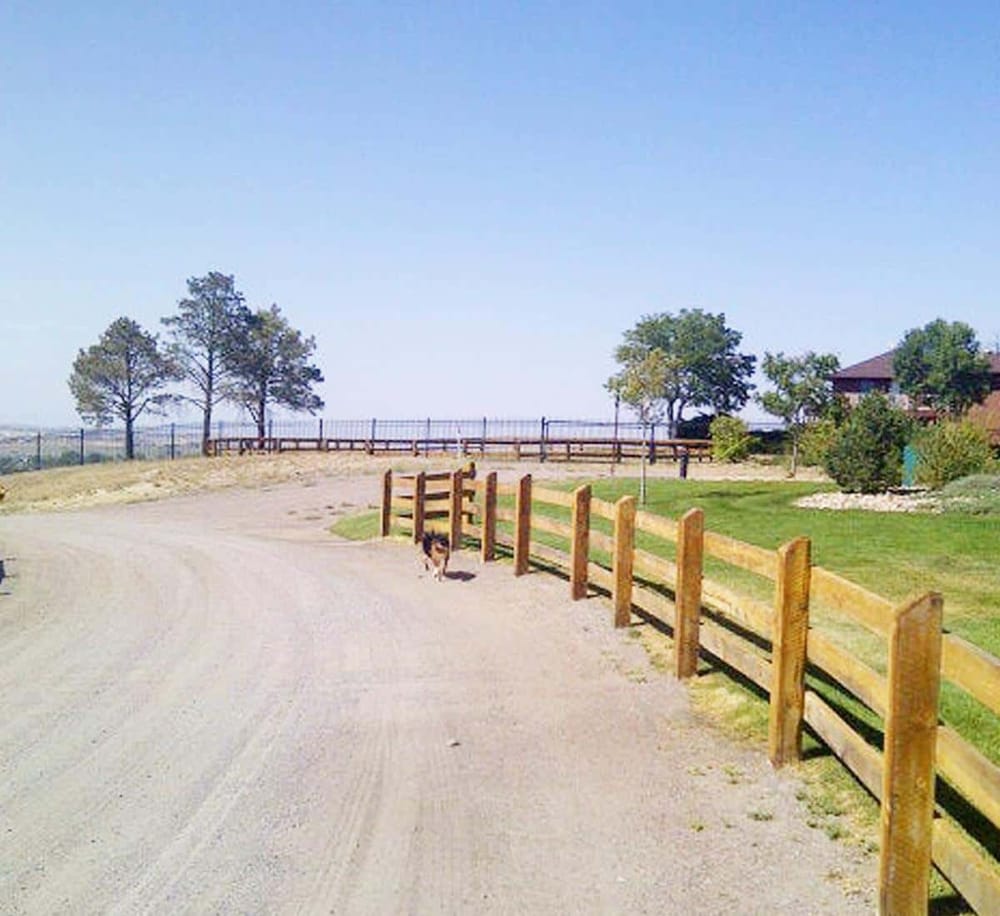 Secluded driveway with wooden fencing, trees, and clear blue sky, ideal for residential or rural living.