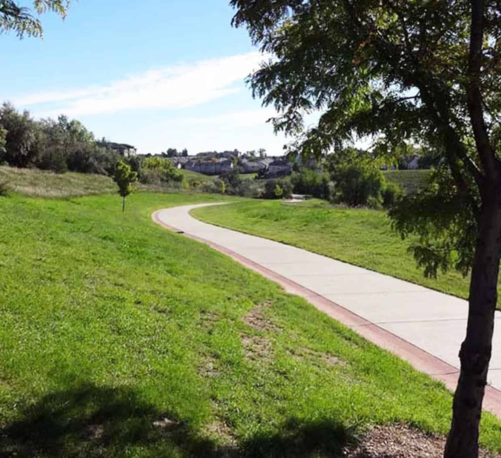 A peaceful park pathway with lush green grass and trees, ideal for outdoor walks and enjoying nature.