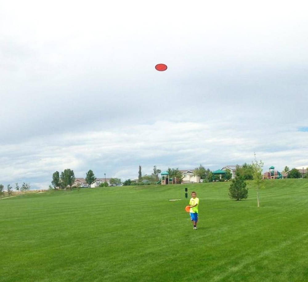 A boy playing catch with a frisbee on a grassy park under a cloudy sky, with houses in the background.