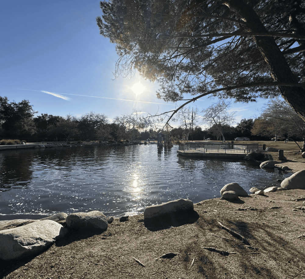 Tranquil park pond with sun gleaming through trees, perfect for outdoor relaxation and scenic walks.
