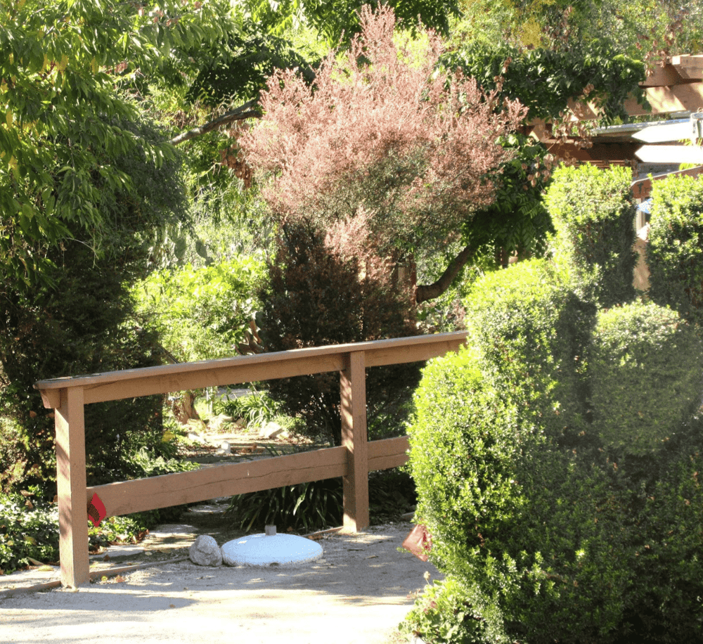 Aesthetic garden pathway with lush greenery, perfect for relaxing and outdoor exploration.
