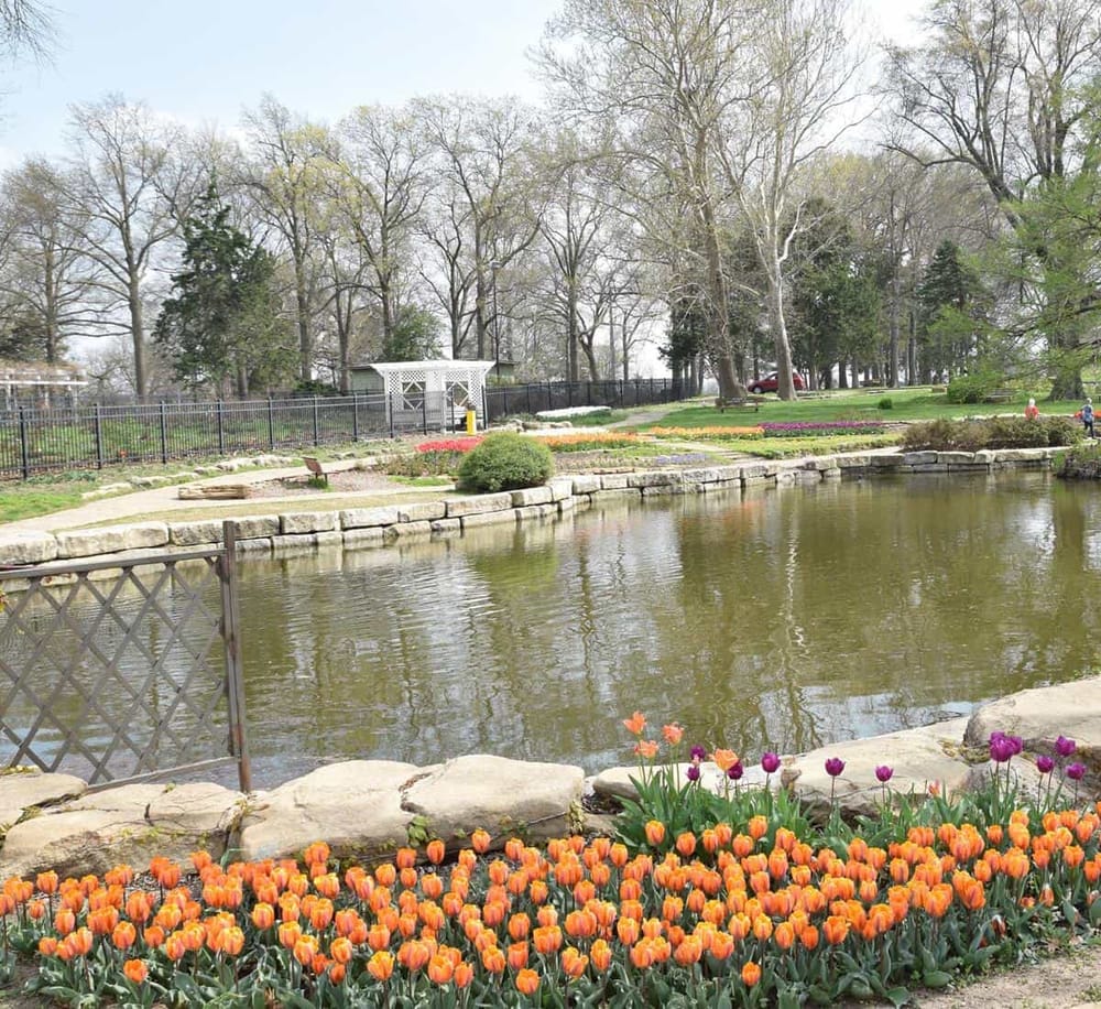 Serene park with pond, blooming tulips, and trees, perfect for outdoor recreation and nature exploration.