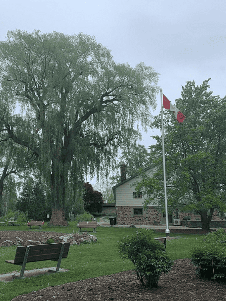 Lush park with large tree, benches, house, and Canadian flag, scenic outdoor space for relaxation and community events.