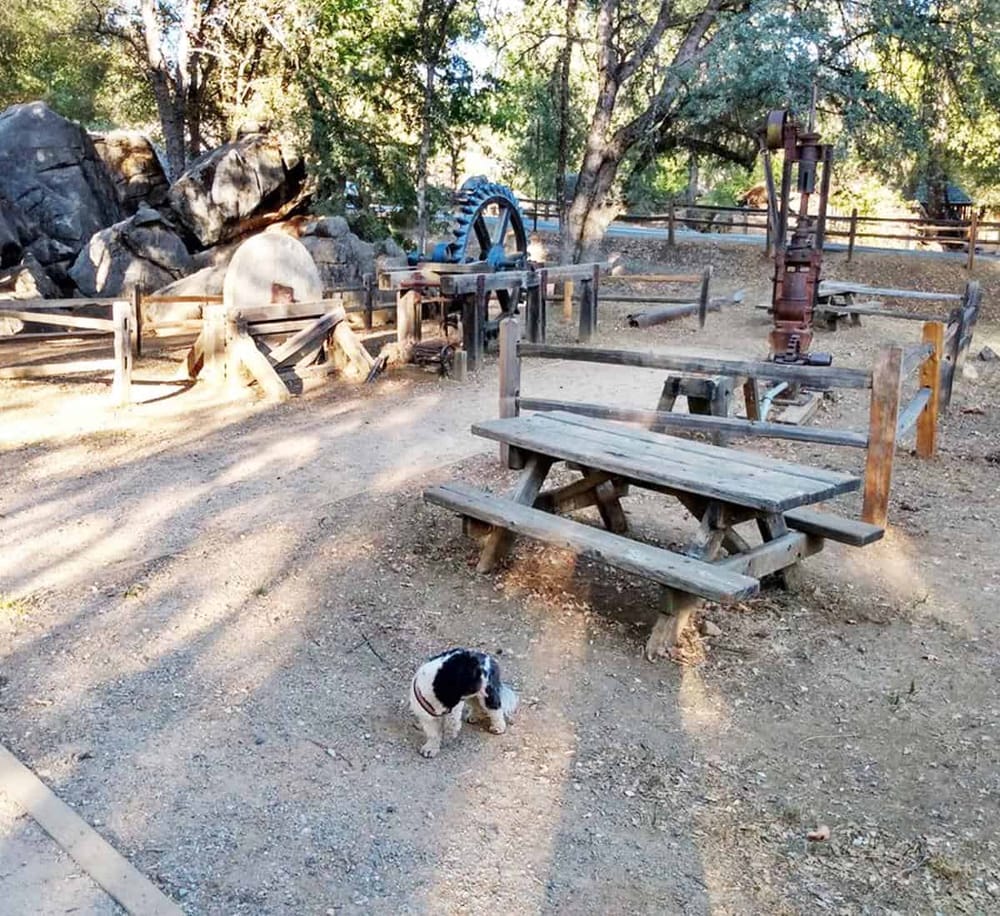 Rustic outdoor park with vintage water wheels and picnic area, perfect for family fun and nature exploration.