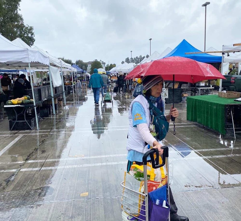 Vibrant outdoor farmers market on a rainy day with shoppers under umbrellas, showcasing fresh produce and local vendors.