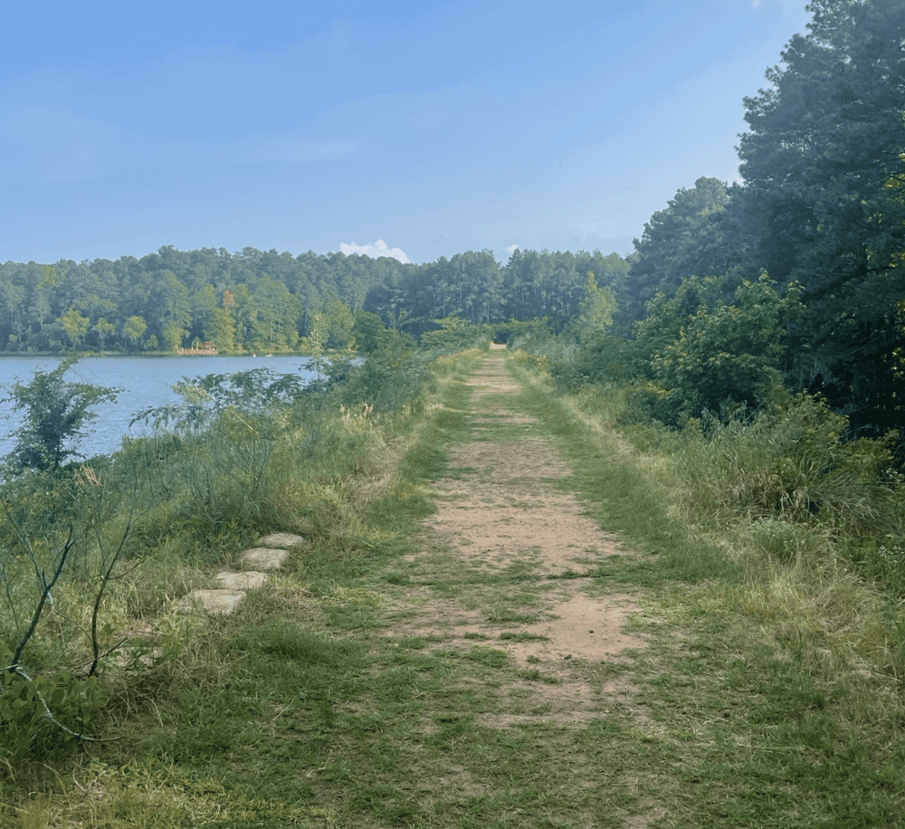 Tranquil nature trail beside a lake, perfect for outdoor adventures and scenic walks.