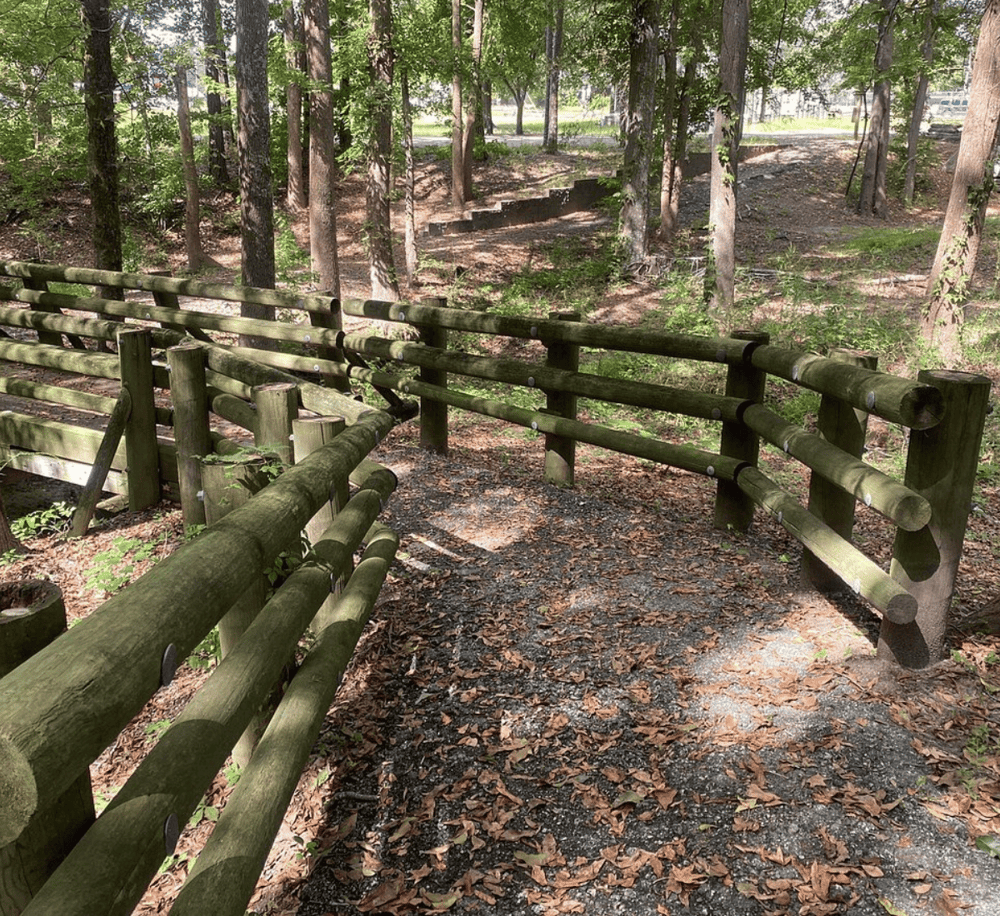Wooden park trail with handrails and forest scenery.