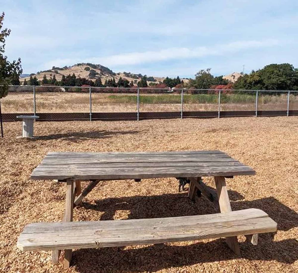 An outdoor wooden picnic table and gravel area with a scenic view of rolling hills and trees in the background.