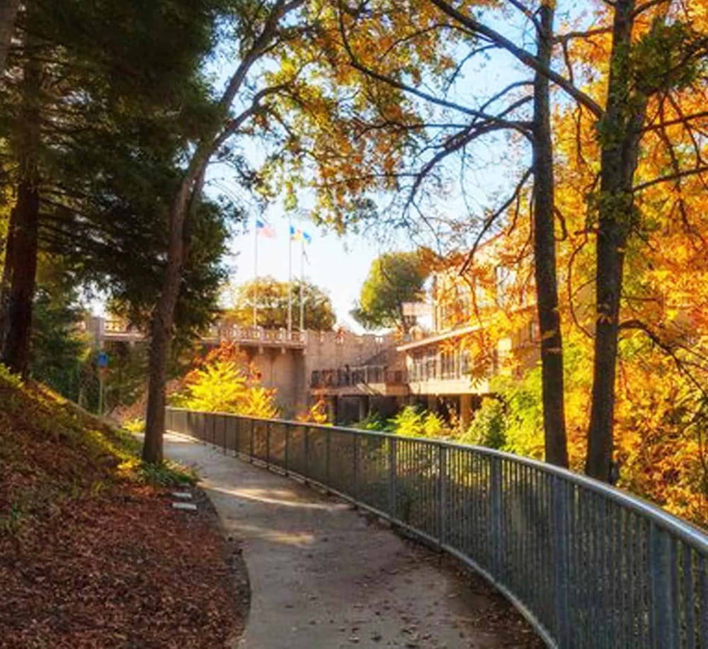 Autumn trees and pathway near Quest for Directions building in fall foliage.
