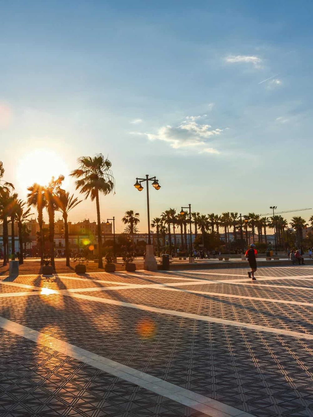 Sunset view of palm trees and public plaza in Quest for Directions city, California, with vibrant outdoor ambiance.