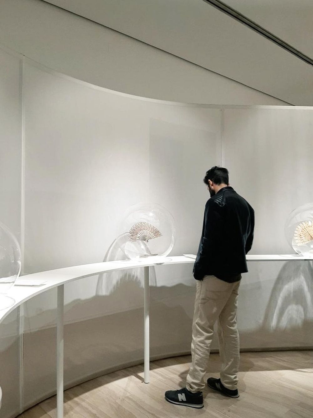 Elegant modern museum display showcasing seashell art installations, ideal for exploring art and cultural tourism.