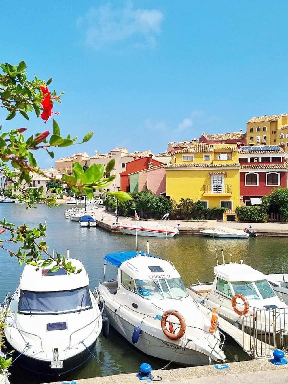 Colorful waterfront houses and boats, scenic harbor view, vibrant seaside neighborhood in a sunny coastal town.